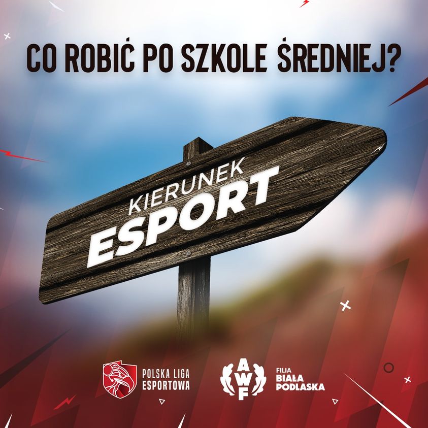 Kierunek e-sport rekomendowany przez Polską Ligę Esportową